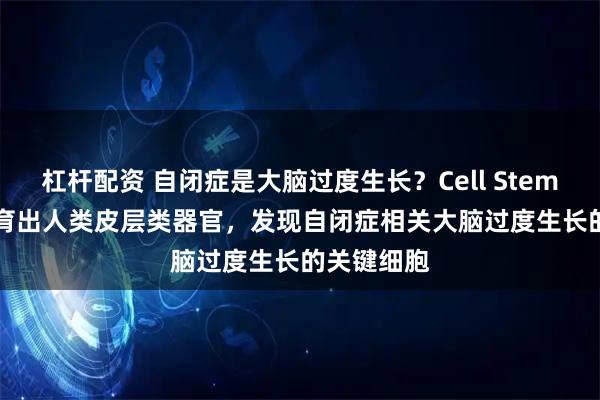 杠杆配资 自闭症是大脑过度生长？Cell Stem Cell：培育出人类皮层类器官，发现自闭症相关大脑过度生长的关键细胞
